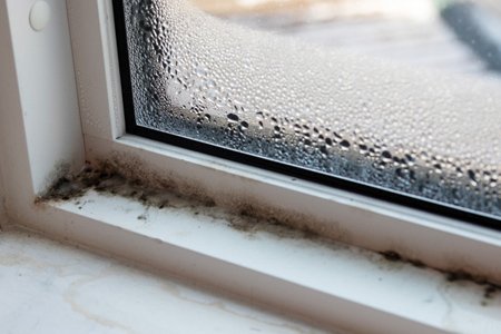 Pleśń przy oknie